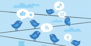 twitter insights